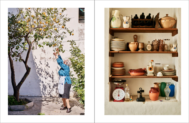 Pasta Grannies: The Secrets of Italy's Best Home Cooks by Vicky Bennison Hardback Book