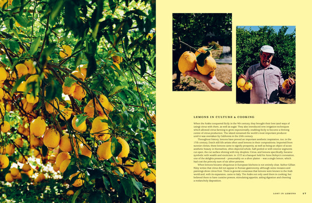 For the Love of Lemons: Italian-Inspired, Sweet and Savoury Recipes by Letitia Clark Hardback Book